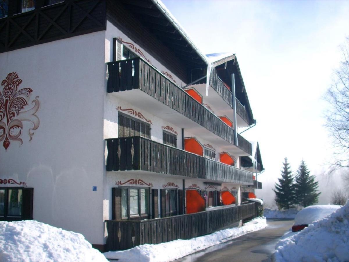Ferienwohnung Hani Spiegelau Extérieur photo